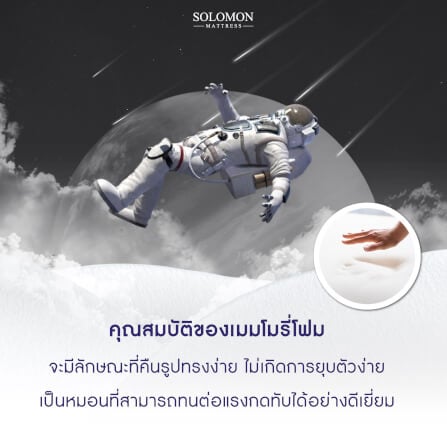 หมอนเมมโมรี่โฟม SOLOMON รุ่น POTTER PILLOW_4